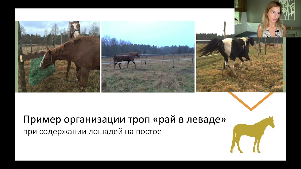 Опыт создания троп 