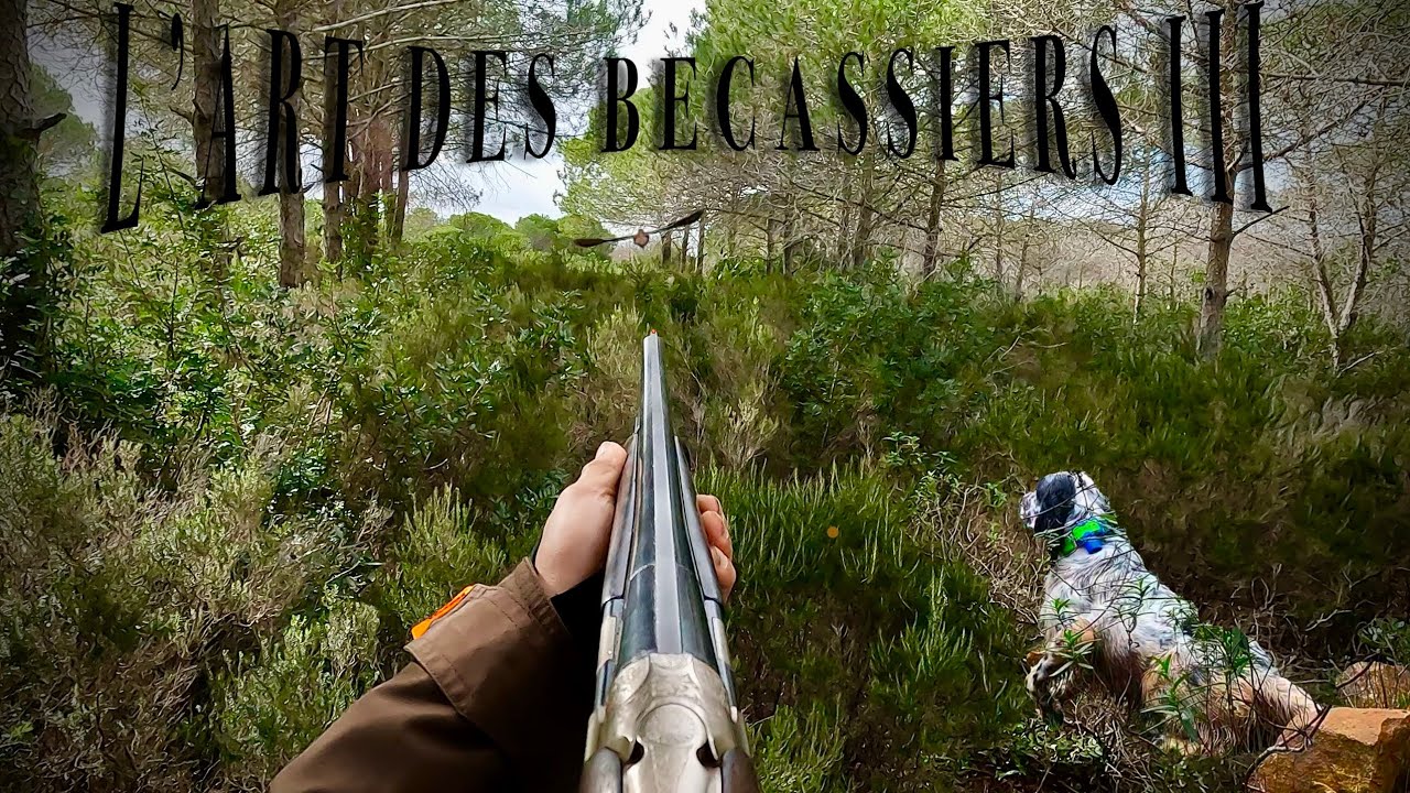 L'art des bécassiers III