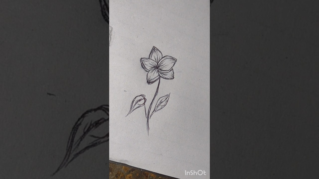 Easy flower drawing trick 