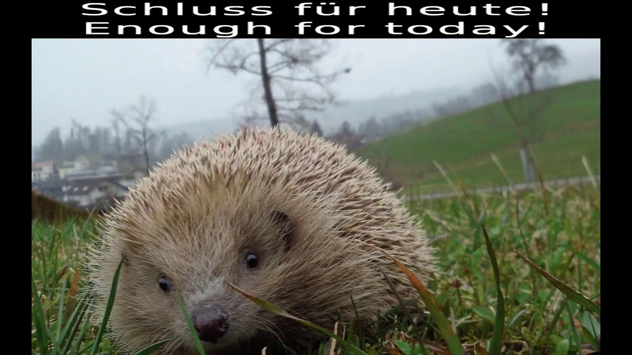 Program a Civilization game [Ada] [Eng|Ger] | Gothic 2 - Legend of Ahssûn (Blind)