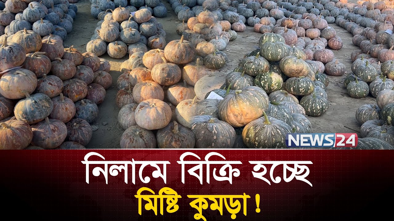 এ যেন কুমড়ার রাজধানী | NEWS24 Special