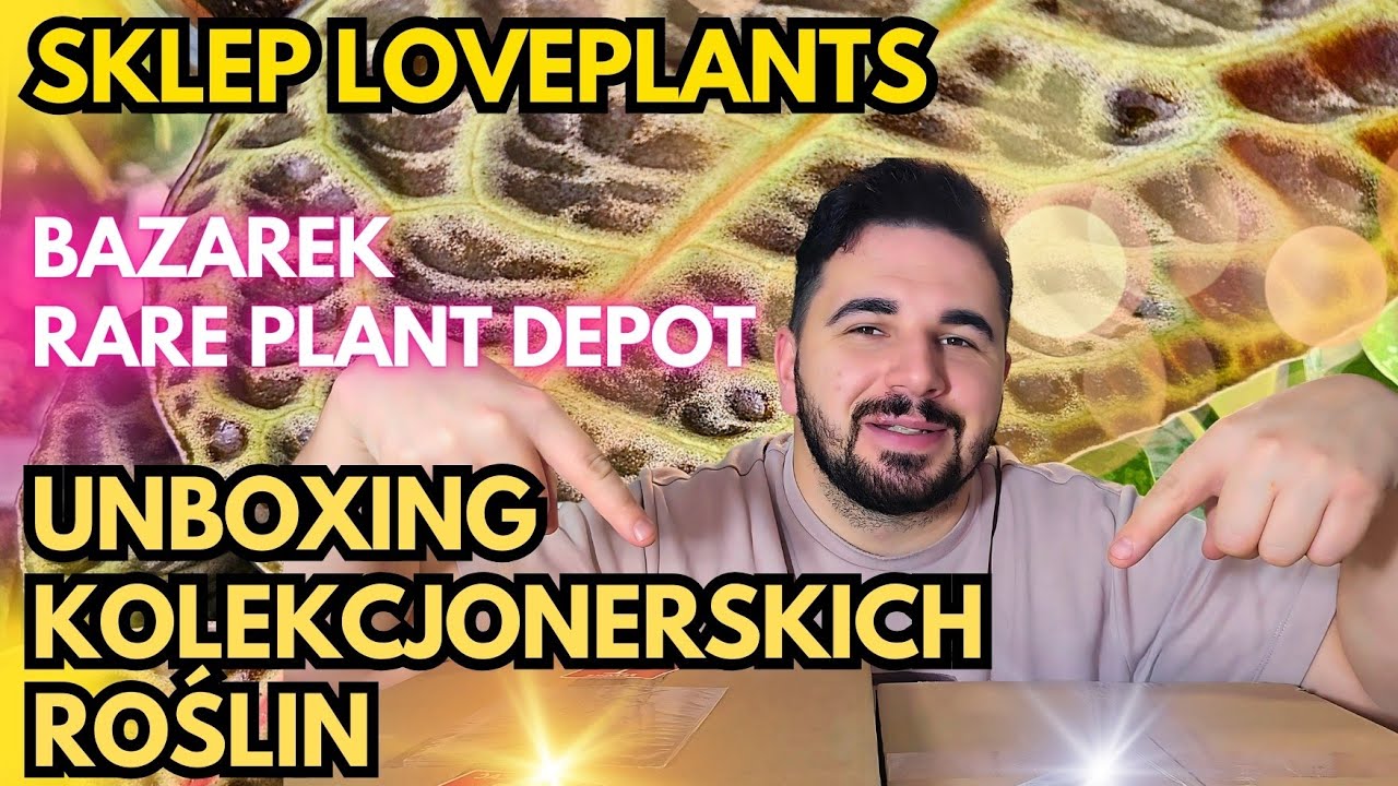 Sklep LovePlants i RarePlantDepot 🌿💚 UNBOXING 😉