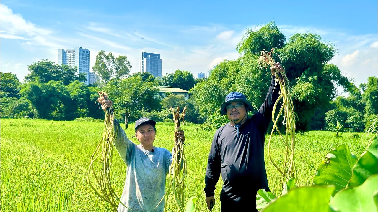 TAKWAY: Hard to Find, Mabili, Mahal na Gulay! Ang Taniman nasa SENTRO ng QUEZON CITY!