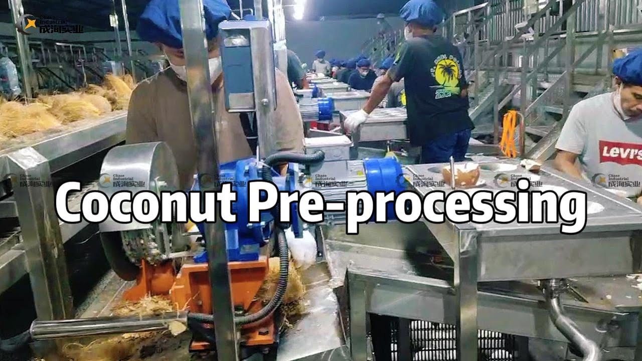 Turnkey Project for Coconut Processing Line