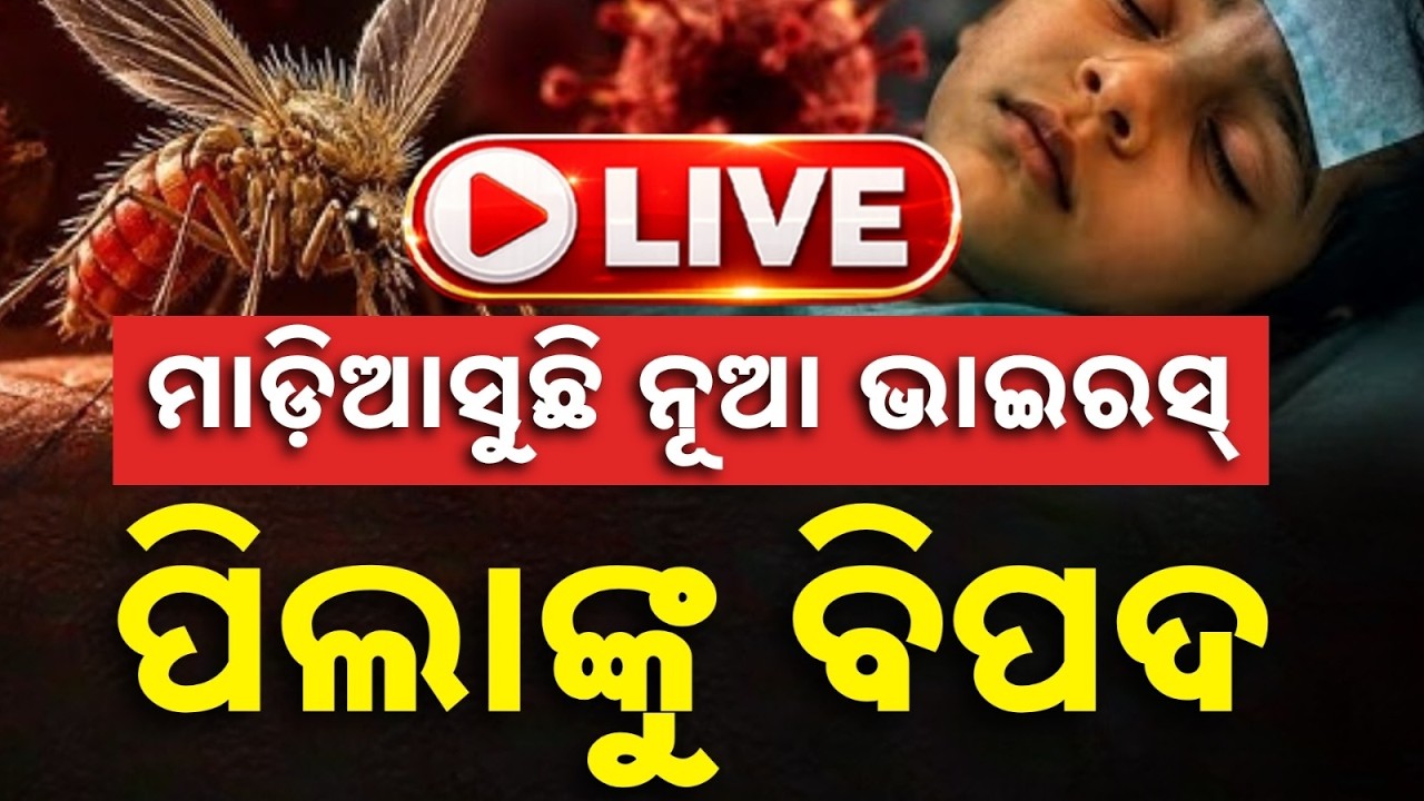 🔴Live | ମାଡ଼ିଆସୁଛି ନୂଆ ଭାଇରସ୍ | Chandipura Virus Terror | Big Breaking | Argus News