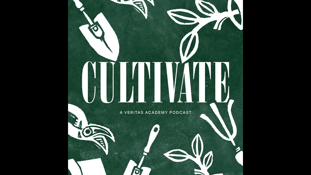 Teaching Kids How to Think Critically: The Logic Phase & Why It's Important