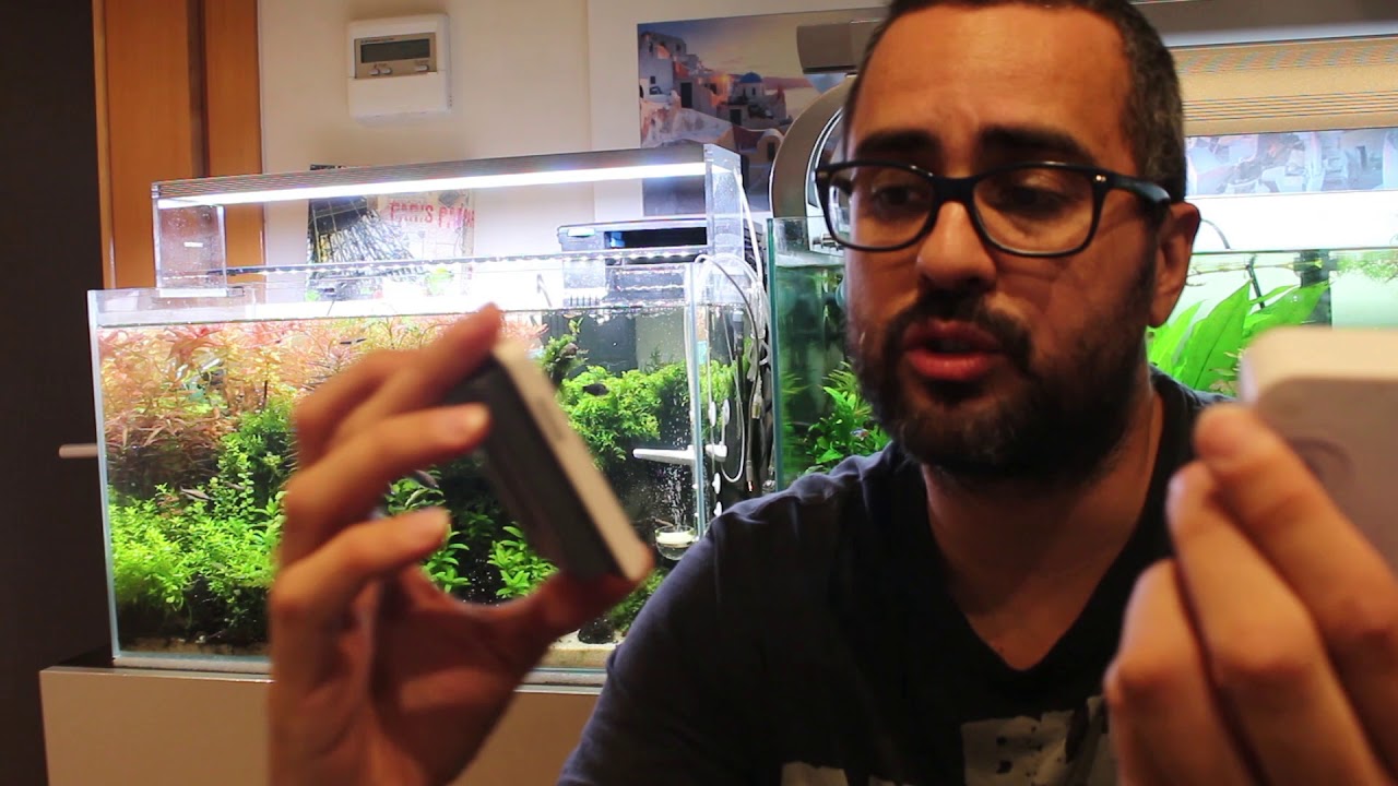 Antialgas: Twinstar Vs Chihiros