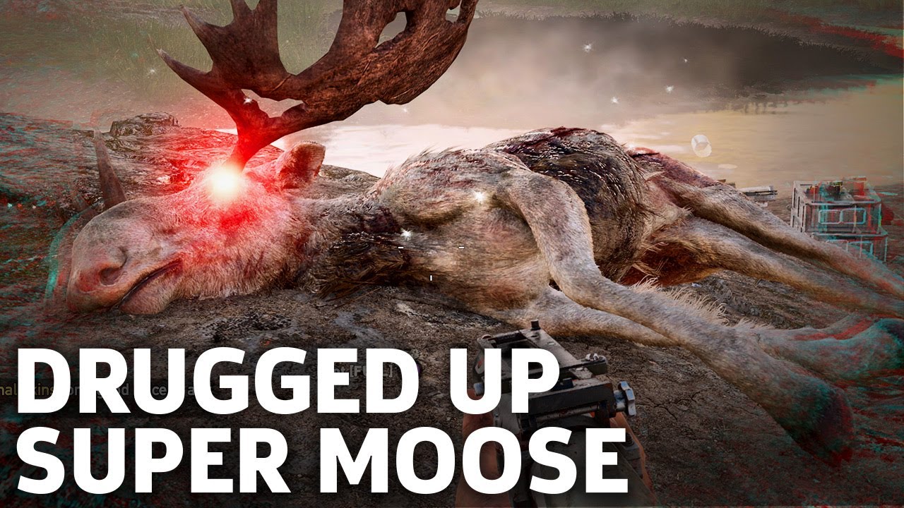 Far Cry 5 in 4K - The Judge Moose Mission Gameplay