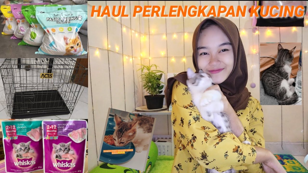 HAUL PERLENGKAPAN KUCING || Adopsi kucing pertama kalinya