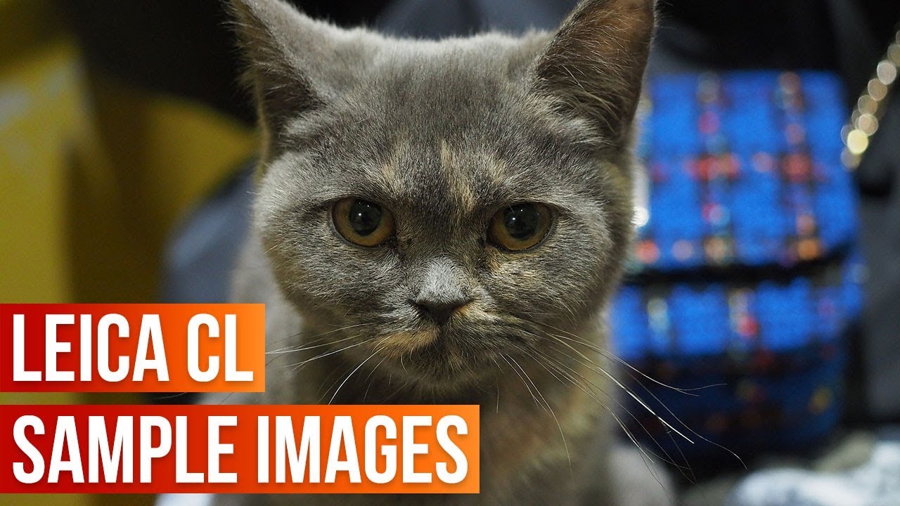 Leica CL Sample Images