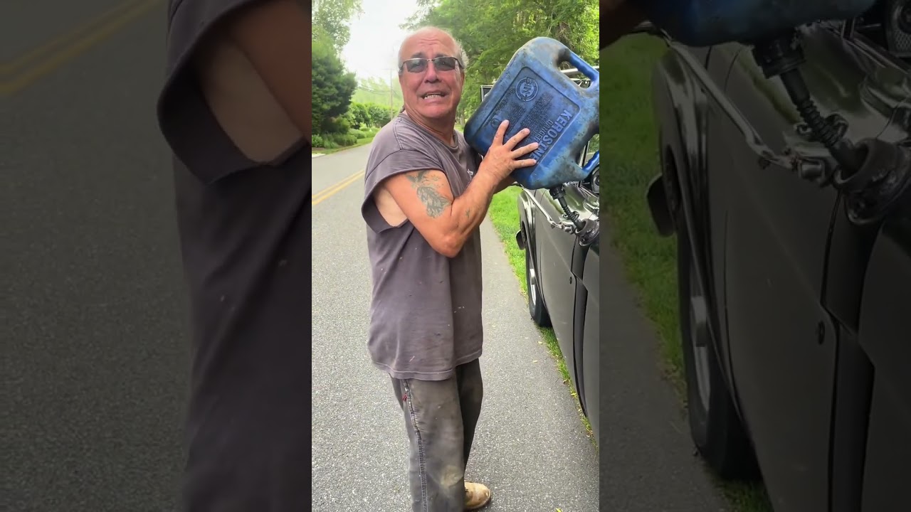 Found on road dead