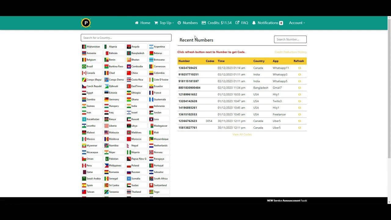 How to Create a WhatsApp Account Using a Belarus Virtual Number via PVApins.com [2024 Guide]