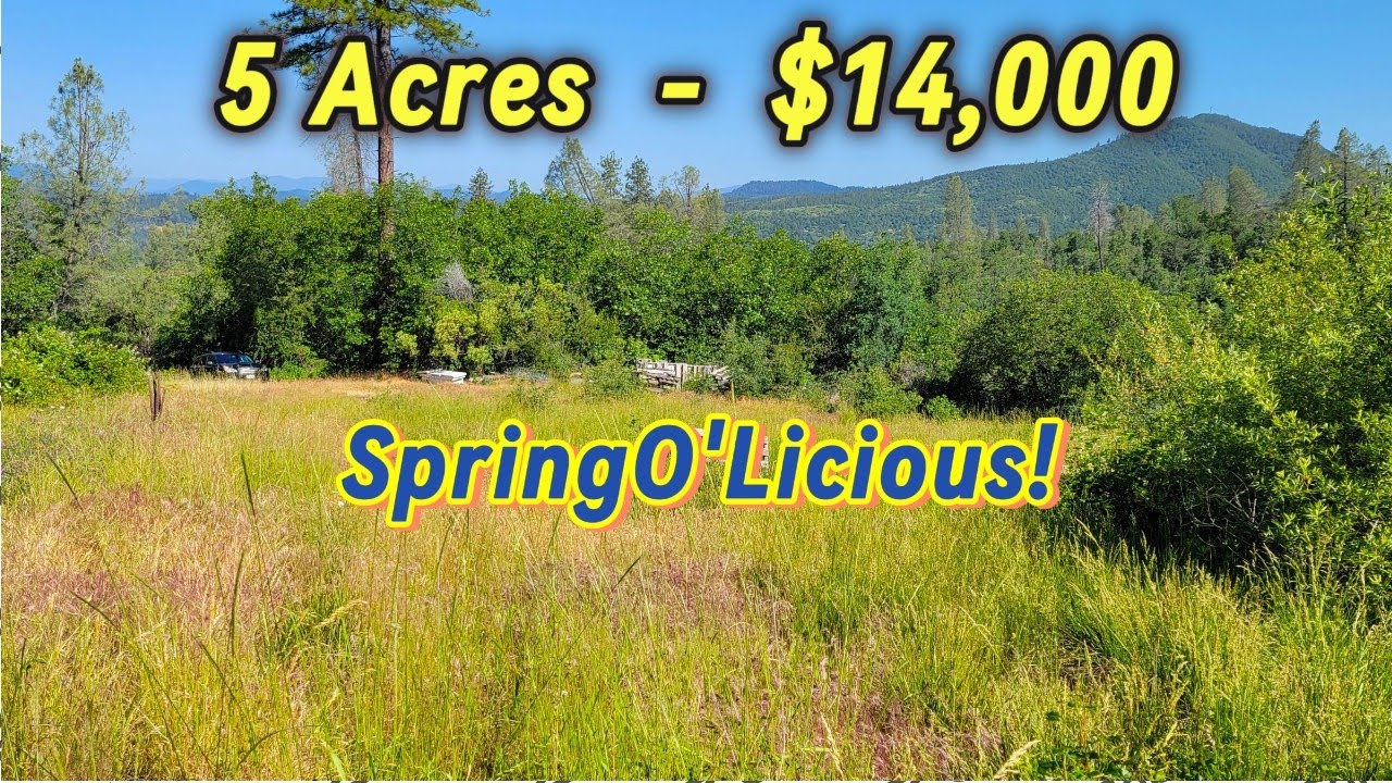 Affordable Land Acreage For Sale In California - Spring, Creek, Cheap