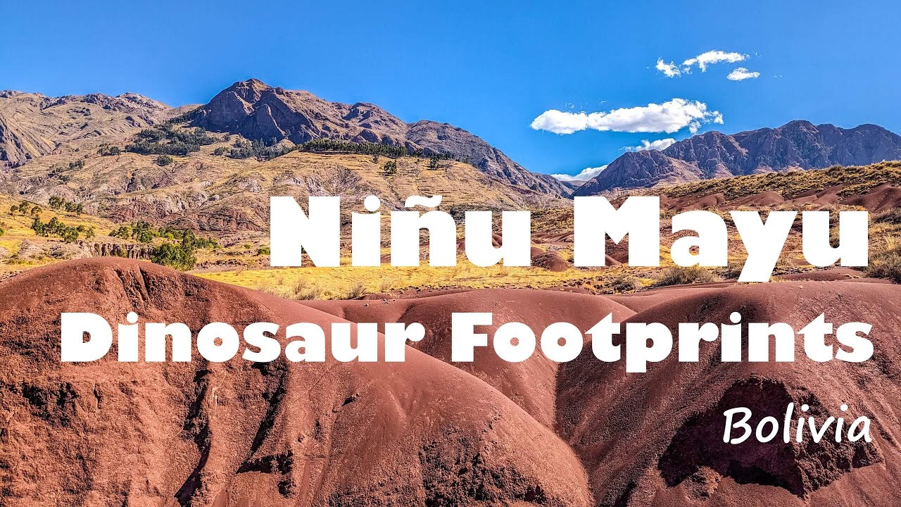 Niñu Mayu dinosaur footprints, Bolivia