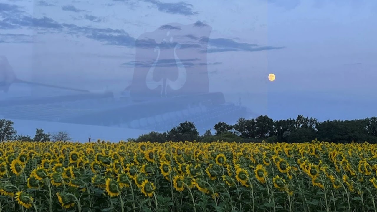 Кавер на цимбалах на пісню гурту Еней 