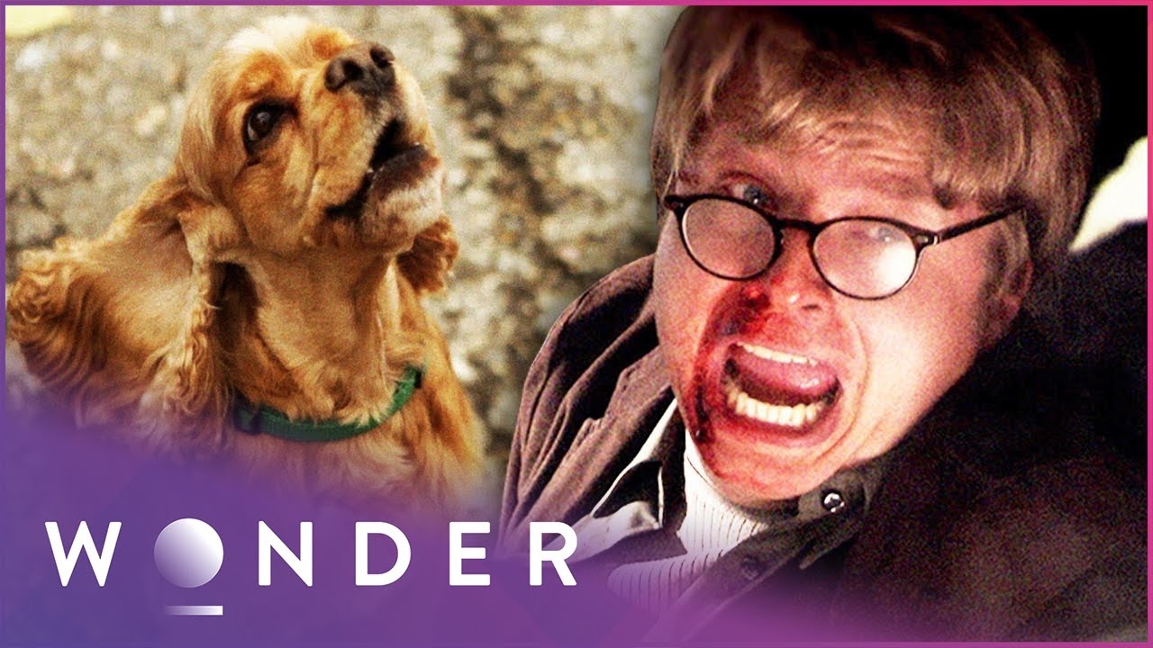 This Man's Life Was In Danger Until His Dog Saved Him | Pet Heroes S1 EP1 | Wonder