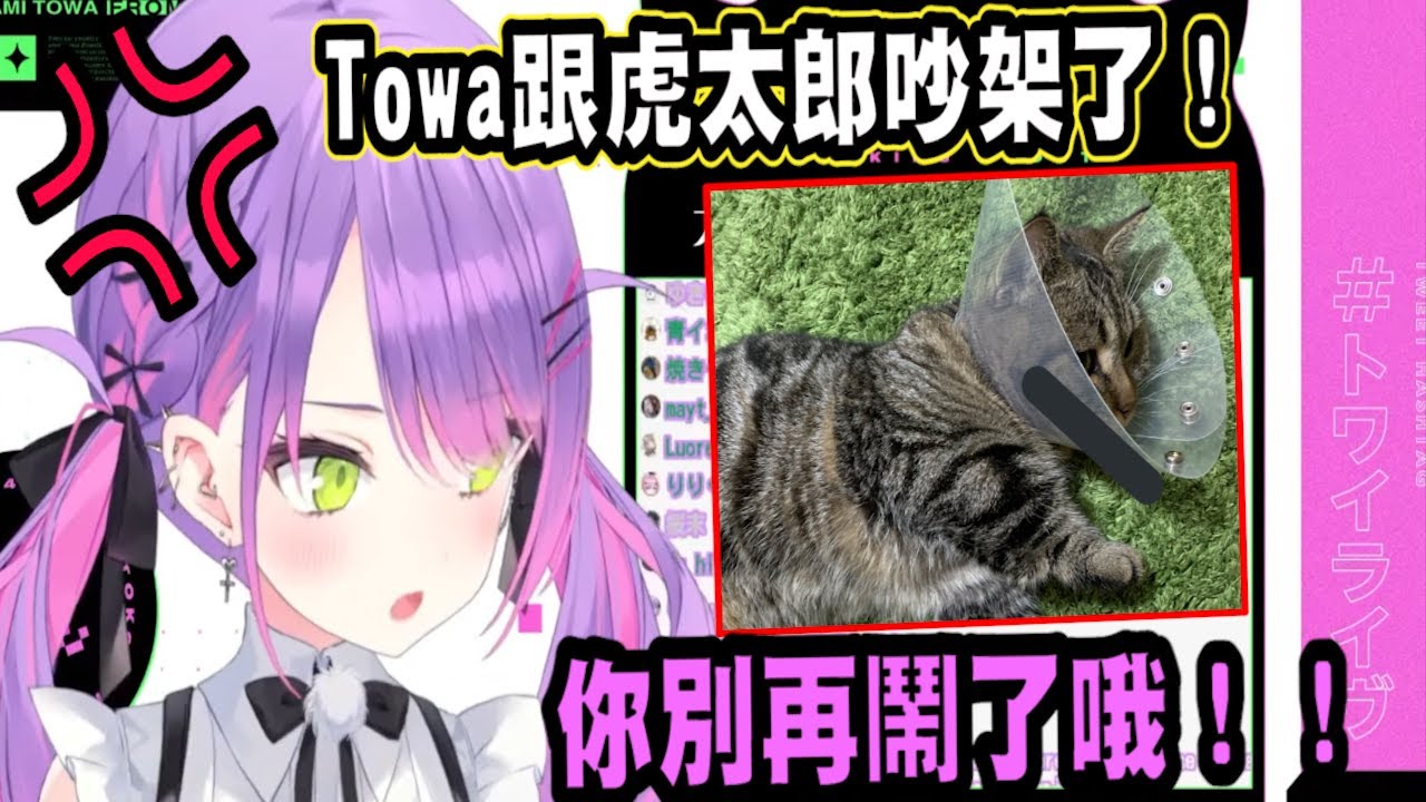 【常闇永遠】Towa惡魔與貓咪虎太郎吵架的原因究竟是...？【Vtuber精華】 【常闇トワ】【とこやみとわ】【hololive中文】
