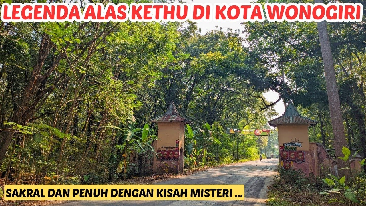 Hati-hati Jika Melintas di sini ‼️ Legenda Alas Kethu di Wonogiri