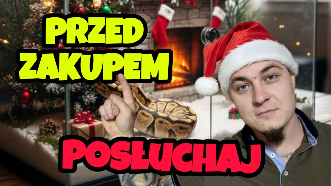 KONIECZNIE OBEJRZYJ, zanim kupisz węża