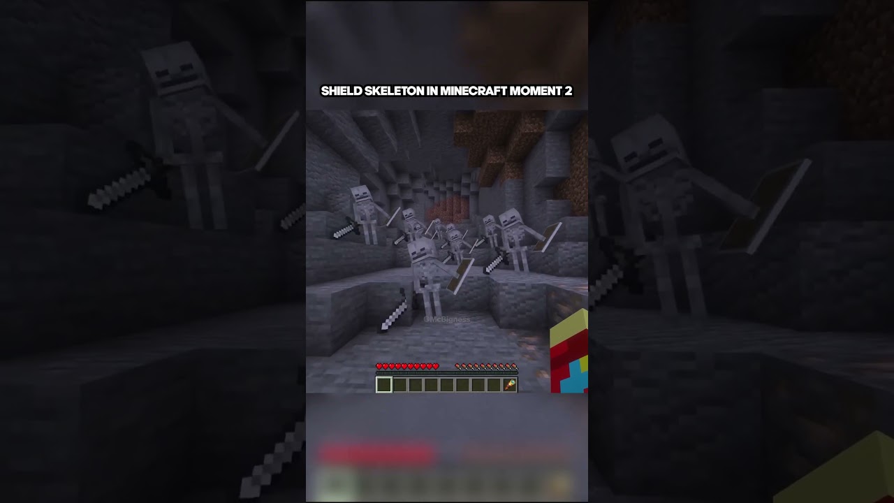 SHIELD SKELETON MEME in Minecraft moment 2