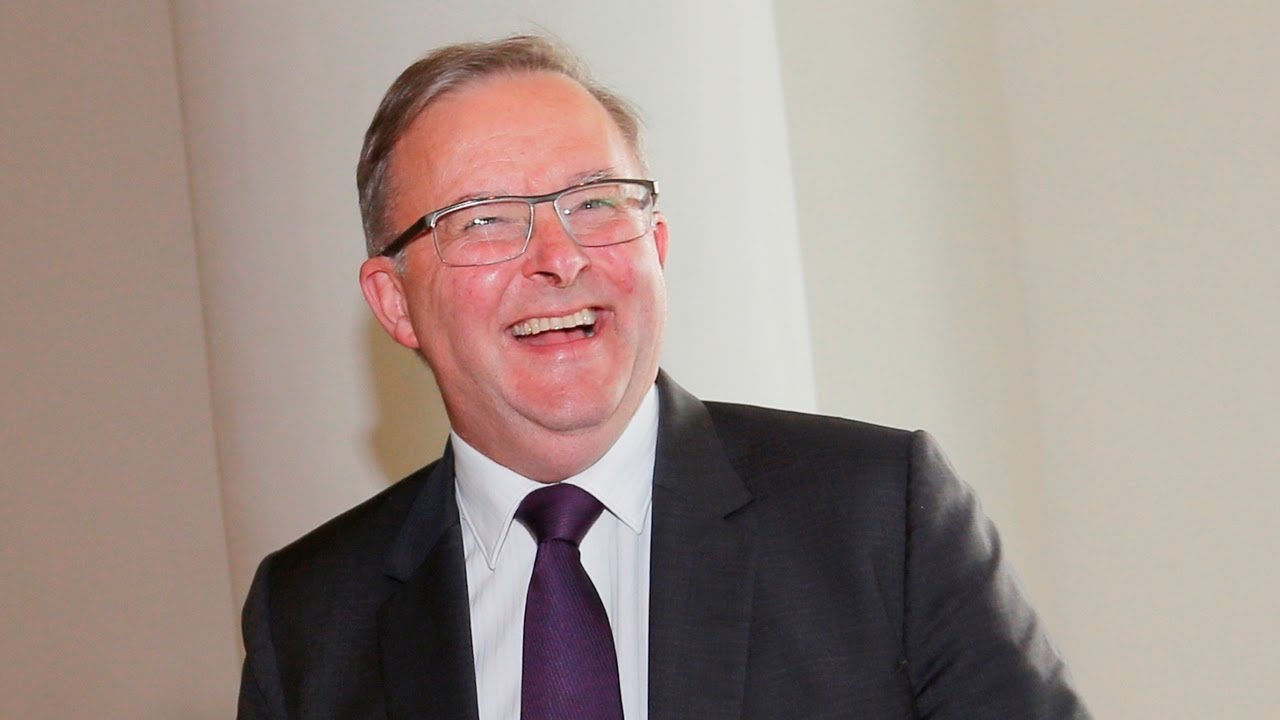 'Loony-left' Labor have 'completely lost the plot' on climate change