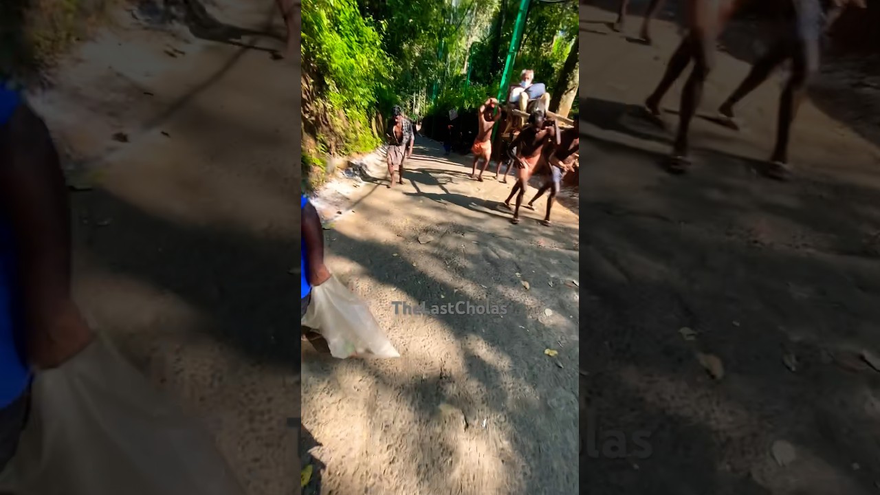 Sabarimala Ayyappa Dolly/Pilgrimage Cleaning Service #thelastcholas #trending #god #travel #shorts
