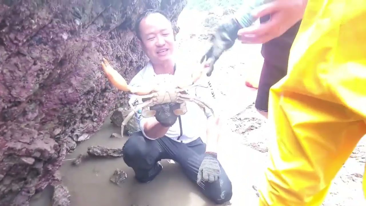#GetBit #noodling #catfish #redneck #fyp #foryou  #bucketlist #crazy #fish #ryanizfishing #sea