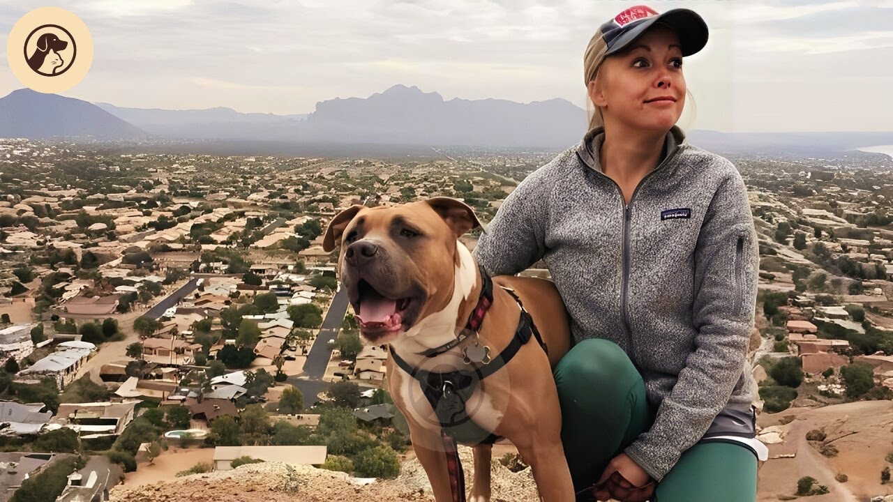 Why This Rescue Dog’s Strange Howl Changed One Woman’s Life | FaithfulFriends