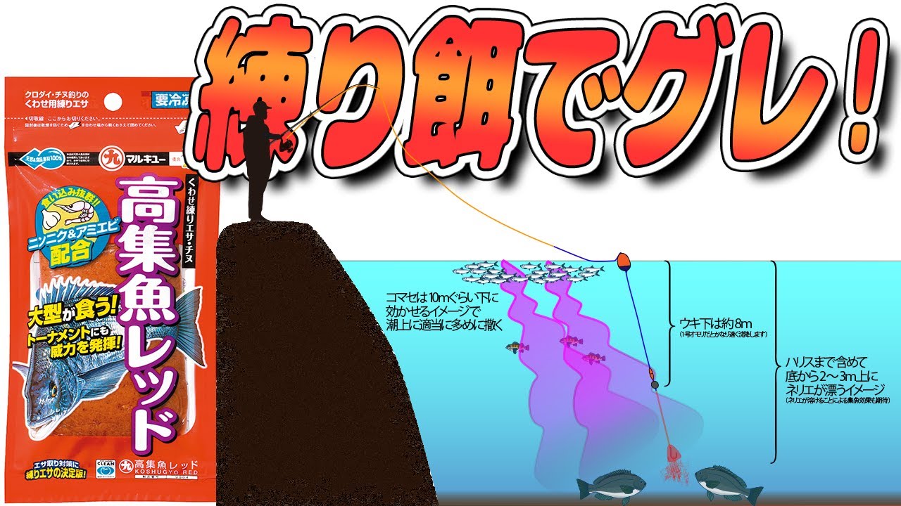 【解説🔰】ネリエでグレ！春・初夏のエサ取りを突破して大型グレが釣れる！