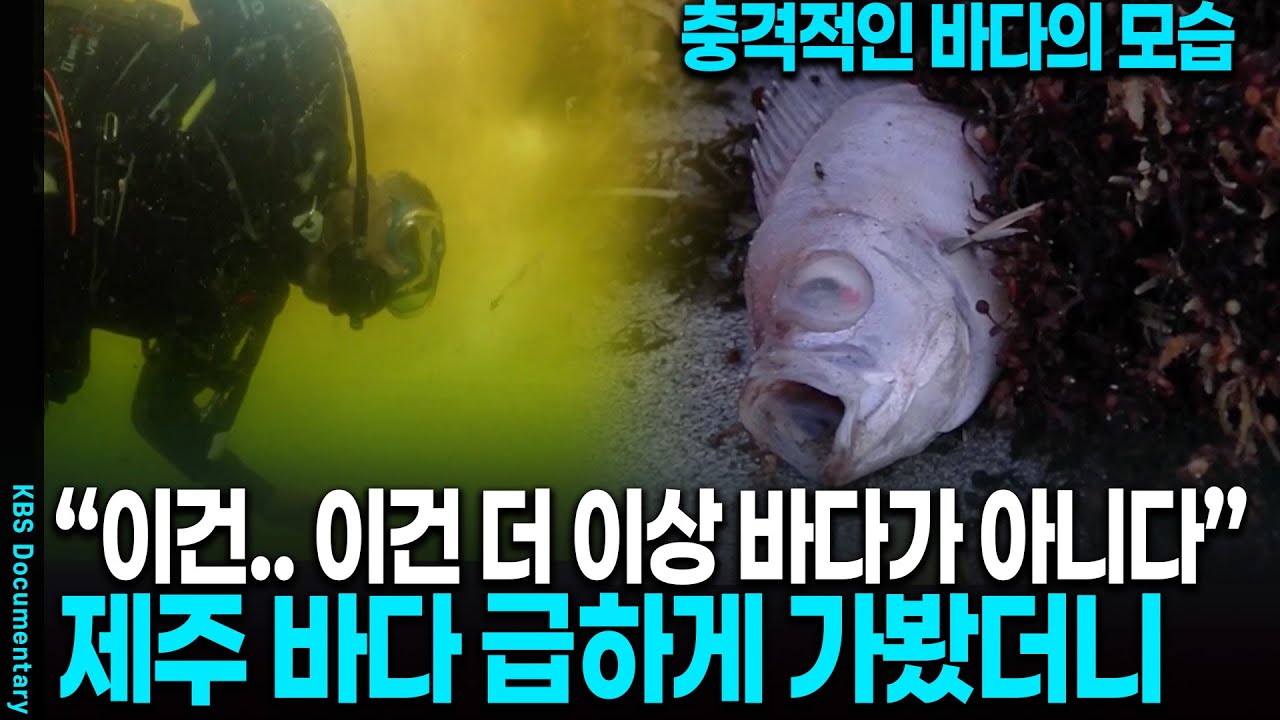 [2025 레전드] 이건 더 이상 바다가 아니다.. 충격적이라는 제주 바다 확인해보니 | KBS 20230204 방송
