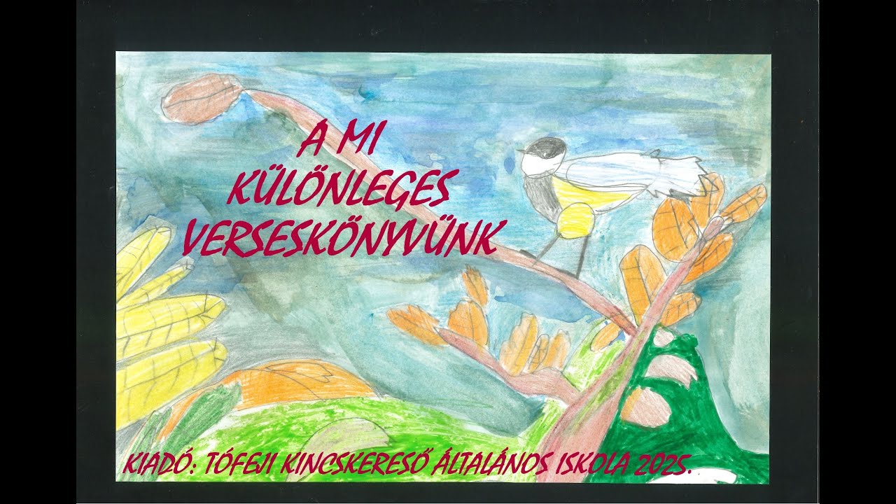A mi különleges verseskönyvünk