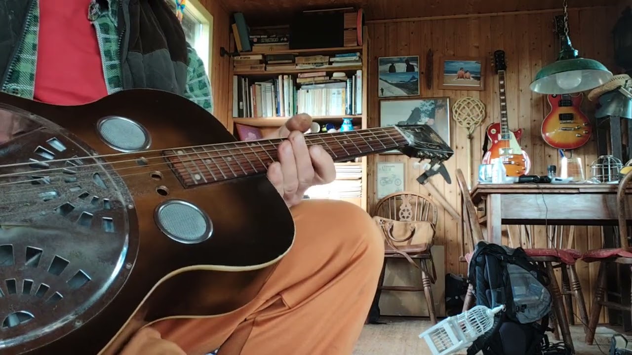 Hound dog, Dobro 1968 made by Ed and Rudy Dopyera USA