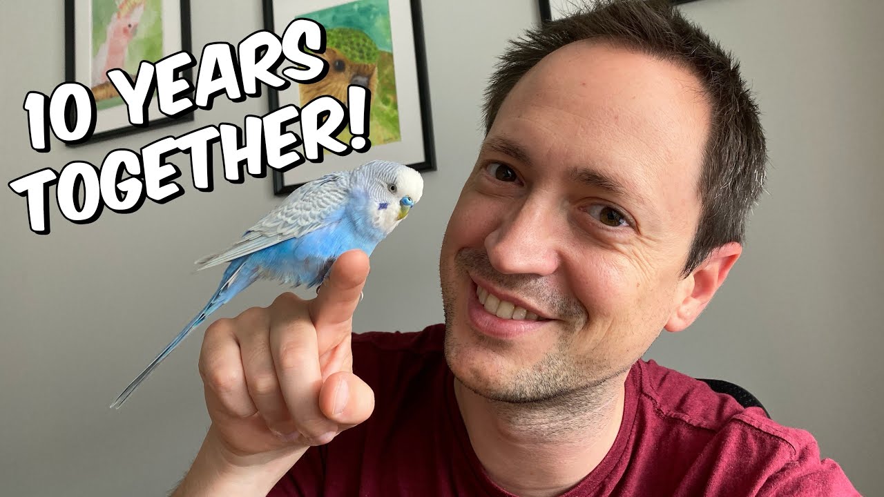 Flink turns 10 years old! His memoirs, best moments and YOUR drawings!