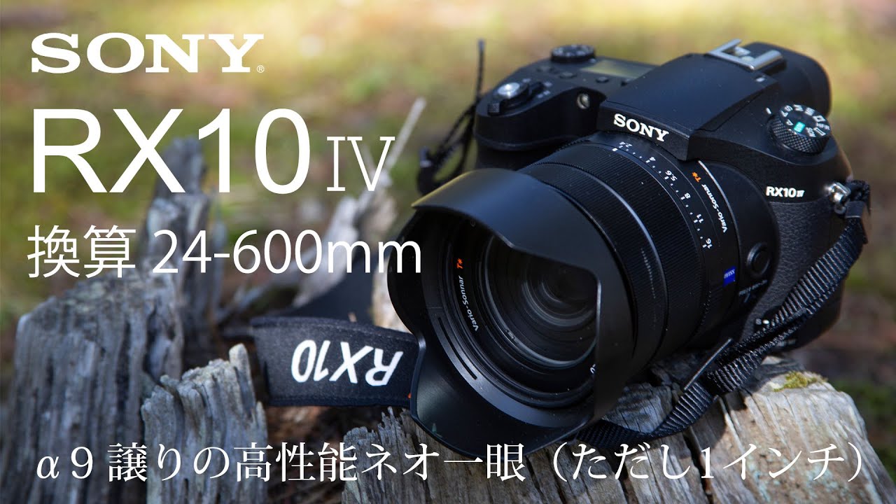 [ SONY ] &alpha;9譲りの高性能ネオ一眼（ただしセンサーは1インチ） DSC-RX10M4 使ってみた ～ ワイド端（24mm）で動画収録、テレ端（600mm）で野鳥撮影 ～