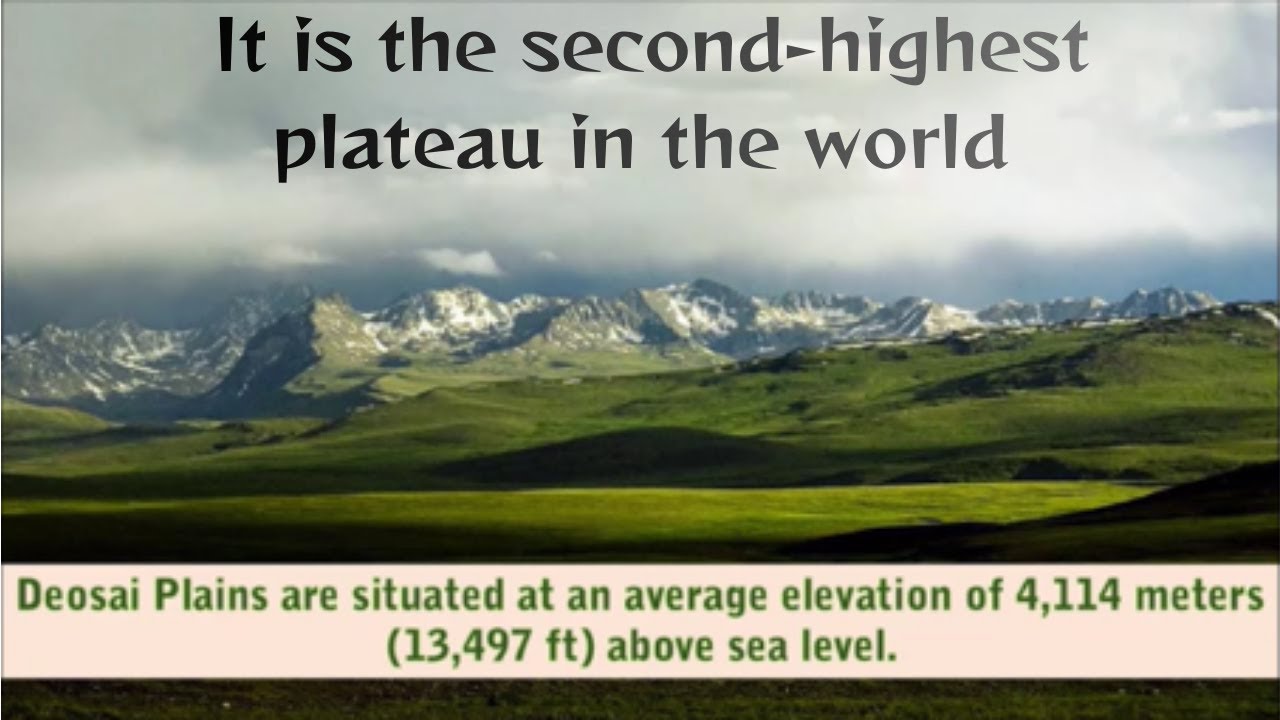 Deosai National Park|second-highest plateau in the world  |Skardu-Gilgit |Pakistan@tourtypewriter