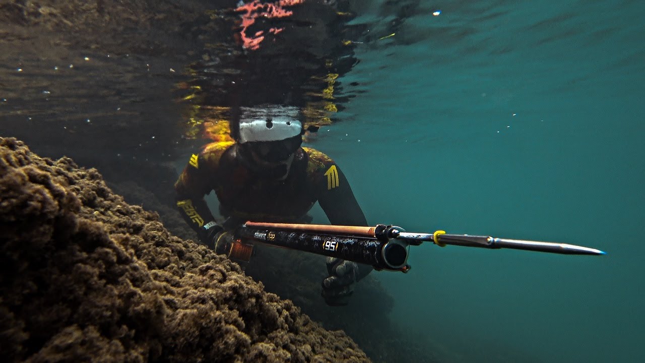 Spearfishing Through the Mist -The Quest for Seabass