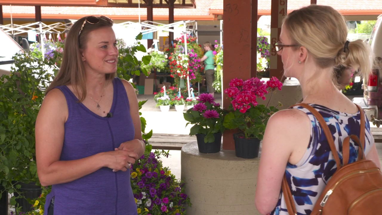 Conversations about Food - Technology in Agriculture