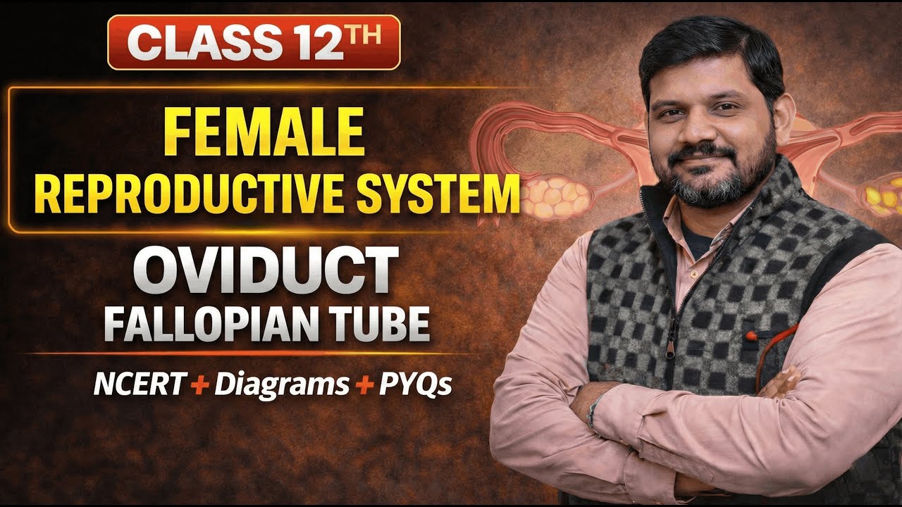 Oviduct (Fallopian Tube) | Female Reproductive System | Class 12 Biology