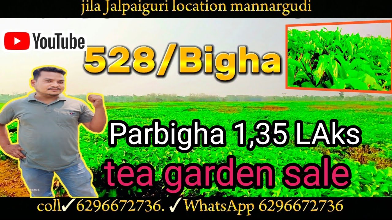 528 /Bigha tea garden sale jila Jalpaiguri location minaguard.  6296672736