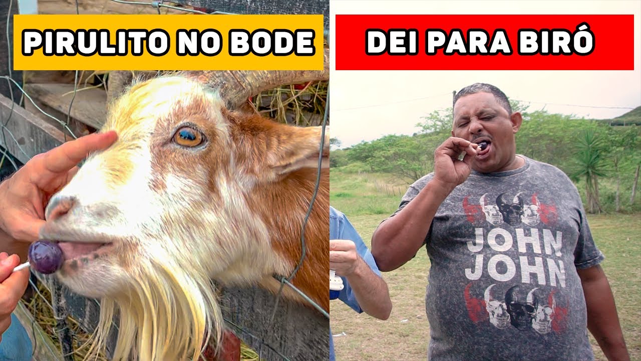PIRULITO DO SERTÃO SABOR BODE PARA BIRÓ | MUÇÃO FAZ PROPAGANDA DE PIRULITO COM BIRÓ