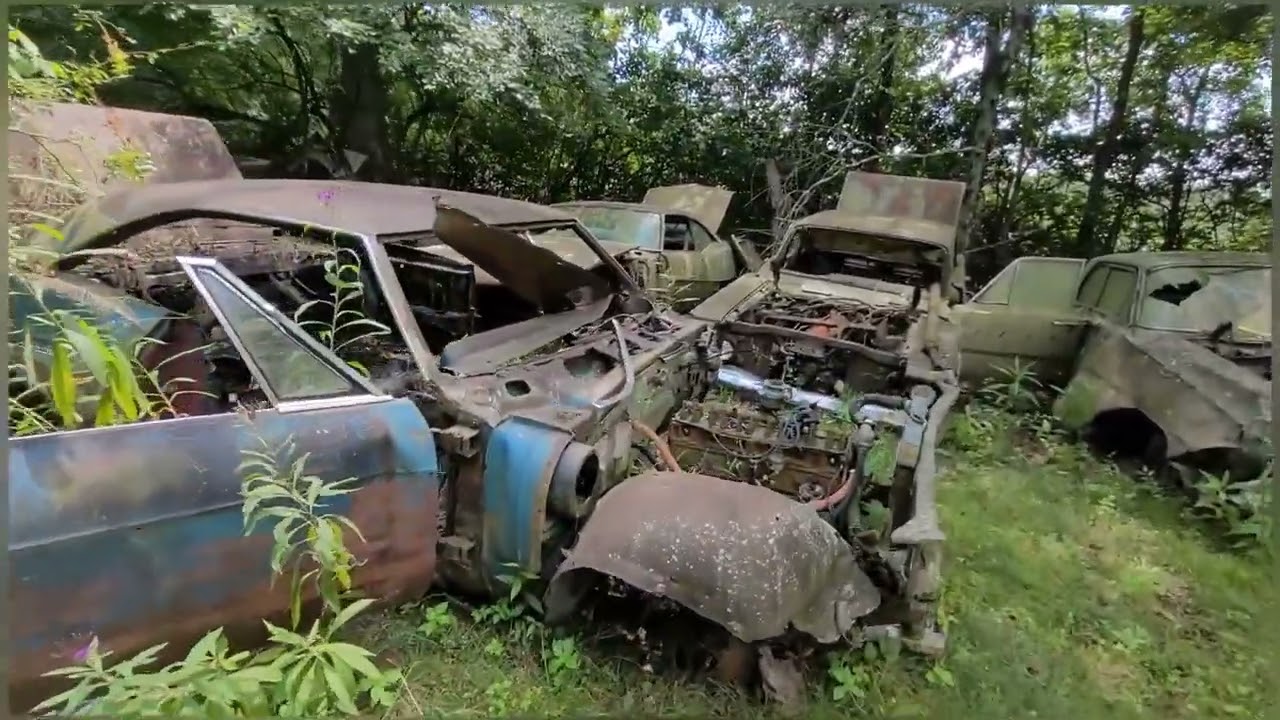 AN INSANE JUNKYARD IN OHIO
