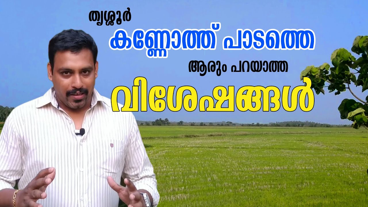 Kannoth Paadam | Thrissur Kole Fields | കണ്ണോത്തും പാടം - തൃശൂർ ജില്ലയിലെ ഒരു പെട സ്ഥലം | Location