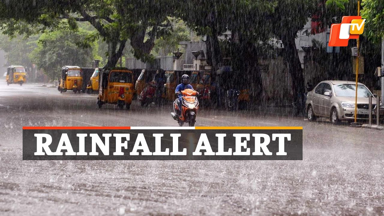 Rainfall Alert | IMD issues yellow warning for rain, thunderstorm in Odisha | OTV News