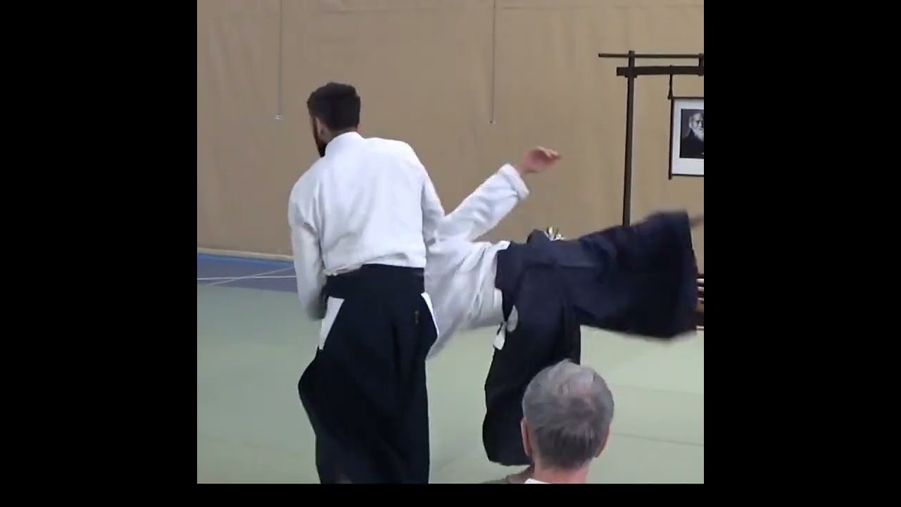 Aikido, Luis Mochón 6°dan aikikai, Musubi aikido. Güejar Sierra diciembre 2023
