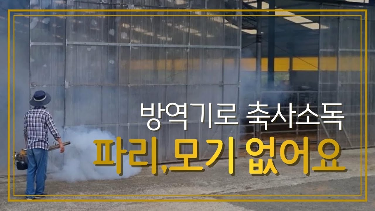 방역기로 축사 소독, 파리 모기 없이 깨끗한 농장 창녕 김천일 한우개량농가