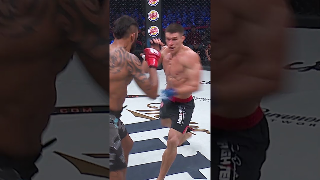 Vadim Nemkov's leg kicks are BRUTAL!