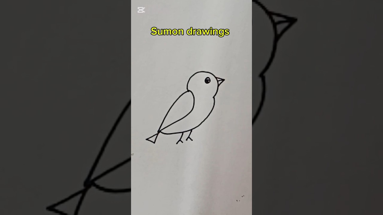 #birds