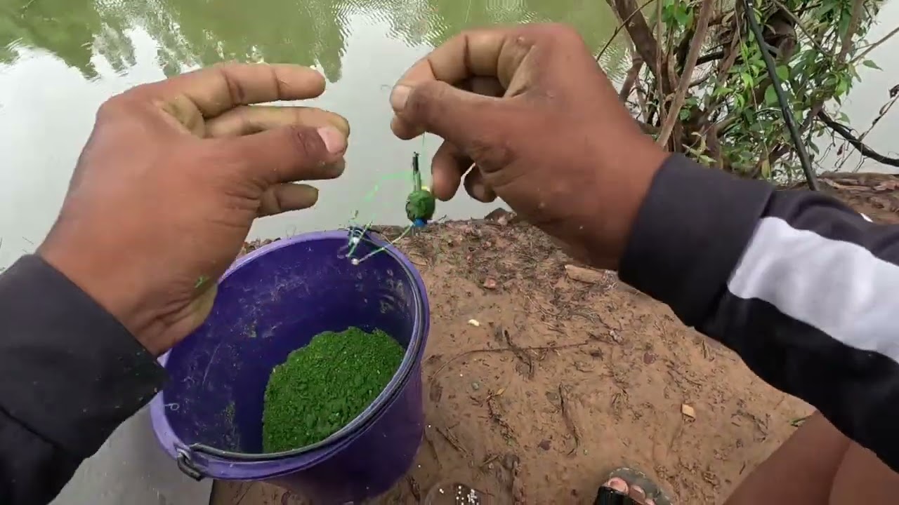 ตกปลาขาวสร้อย ผสมเหยื่อสูตรนี้เข้า100% #ตกปลาหมายธรรมชาติ