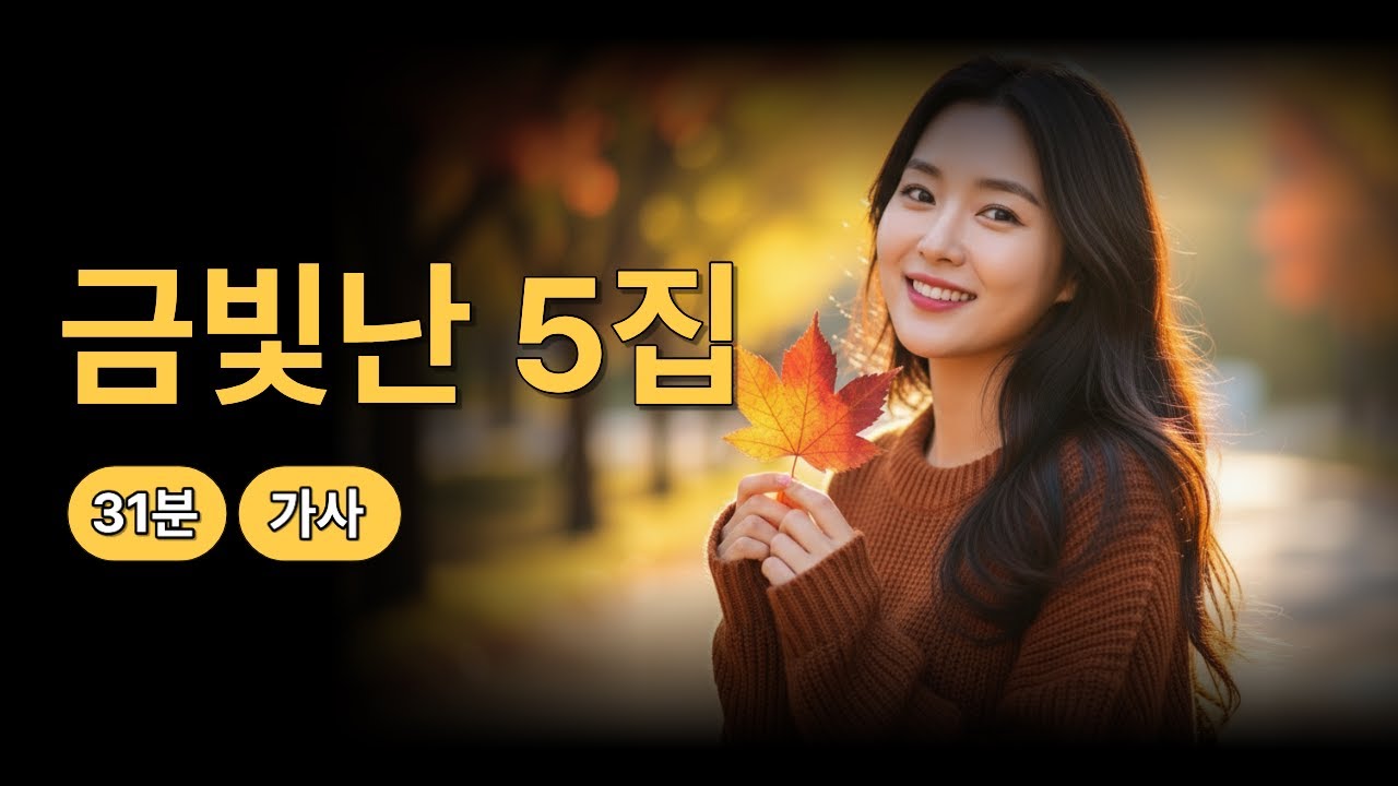 [금빛난 5집] 새벽 감성, 멍하니 듣는 노래 모음 (31분) | 가사