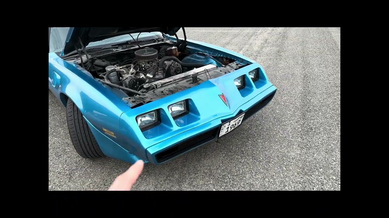 1980 Pontiac FIREBIRD TRANS AM